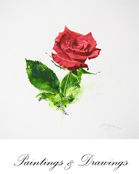 Paintings and Drawings